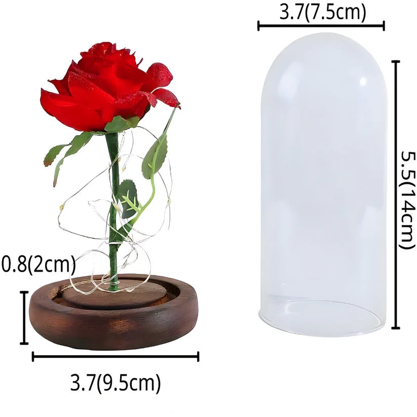 Večna svetleća ruža u staklenom zvonu